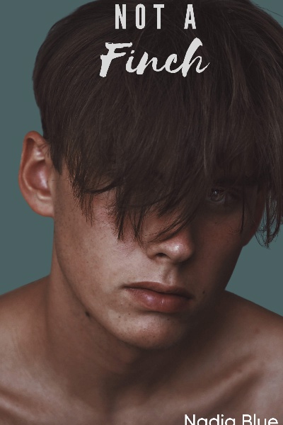 Not A Finch (boyxboy)