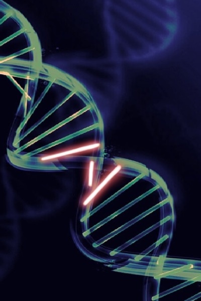 Alexander: Awakening