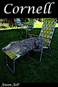 Cornell