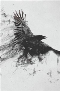 Dragonfall: Soulborn