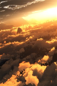 Dragon and Wolf: Two Brothers