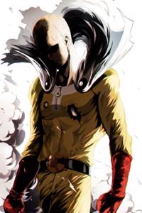 One Punch Man : The New Saitama