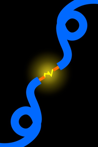 Shorted (collection)