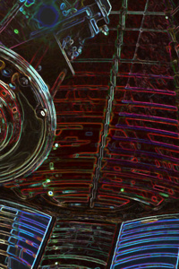 Humanity’s Next Steps