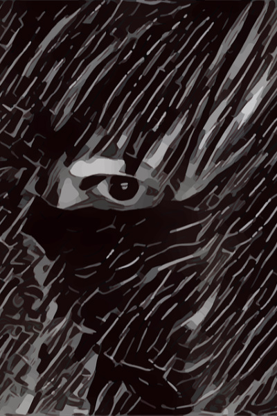 Chosen by Chaos: I'm Not a Villain, I swear!