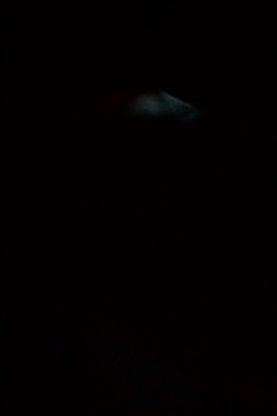 I accidentally became the godhead